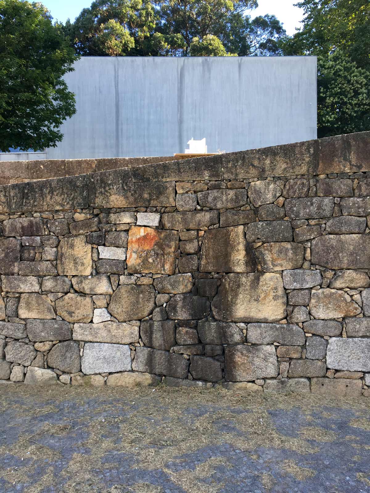 Carmody Groarke Porto Academy